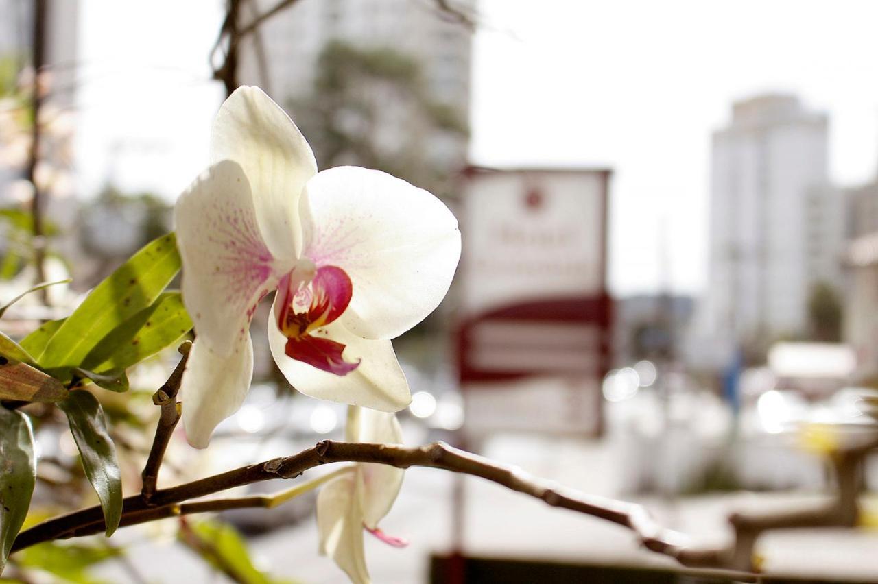 Hotel Germania Joinville Exterior foto